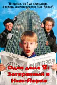 Один дома 2: Затерянный в Нью-Йорке (1992)