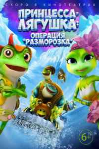 Принцесса-лягушка: Тайна волшебной комнаты (2016)