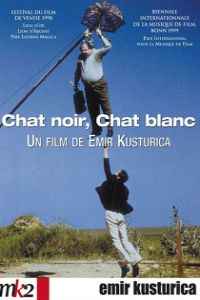 Черная кошка, белый кот (1998) смотреть онлайн
