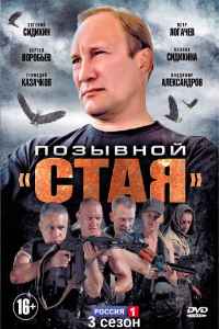 Позывной стая 1,2 сезон