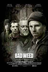 Последний урожай (2016) смотреть онлайн